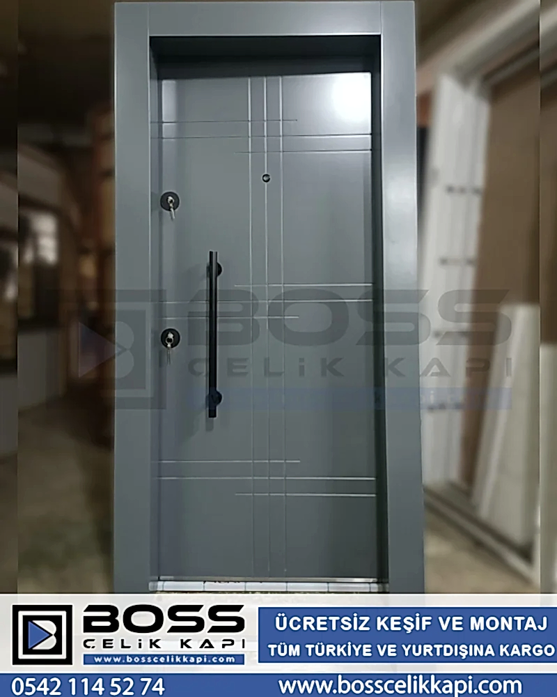 Vizon Gri Çelik Kapı